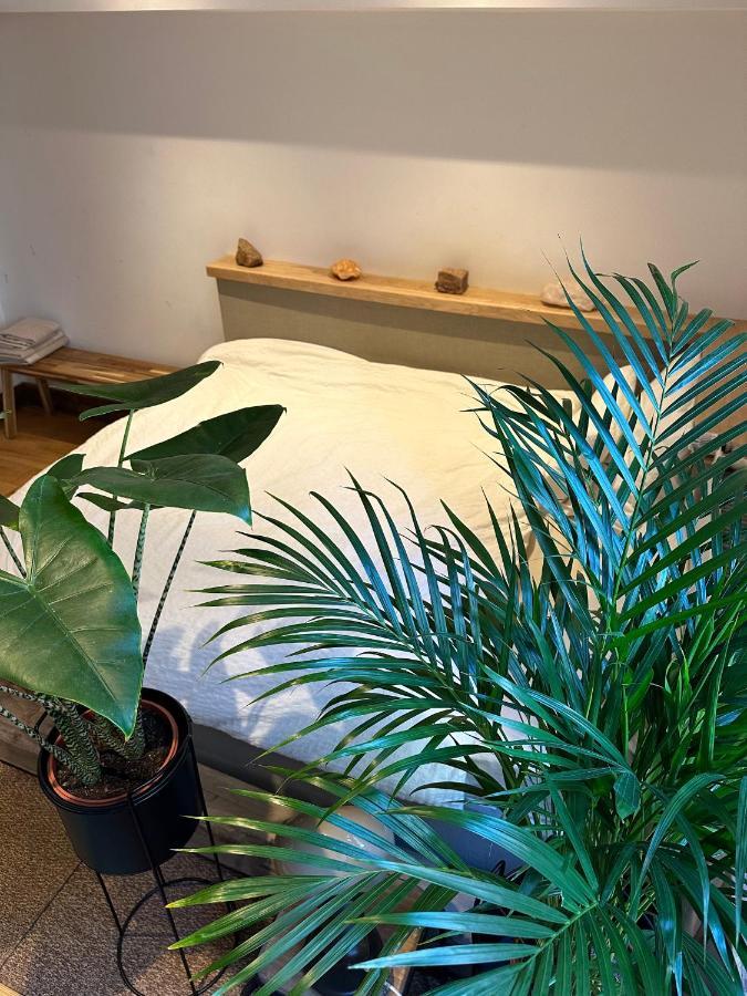 Studio Senang Nijmegen Zewnętrze zdjęcie